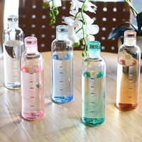 INS Style Timescale Water Bottle – Transparent Leakproof Tea & Coffee Cup with Straw