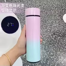 500ml Smart Water Bottle – LED Temperature Display Stainless Steel Vacuum Flask